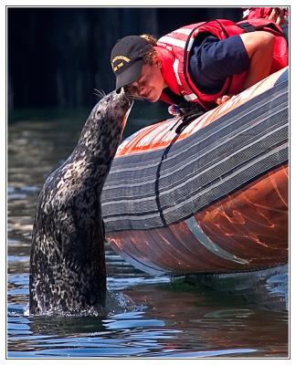 seal kissing auxilliary Coast Guard member in Victoria, Canada