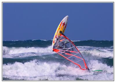 CRW_2177iriki_wind