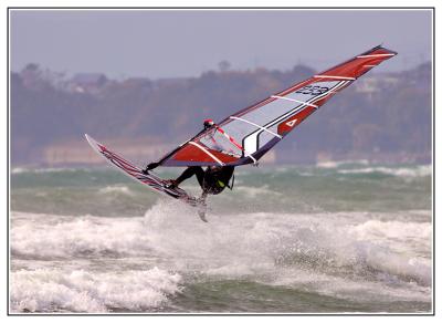 IMG_3354velvb.jpg