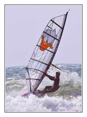 free_windsurfing_