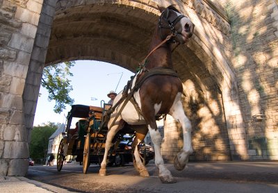 _MG_7392_Quebec City