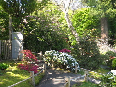g3/25/630625/3/123071917.O1QS5TBN.jpg