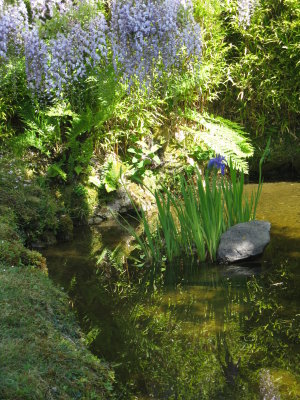 g3/25/630625/3/123071937.ar8Cl1x4.jpg
