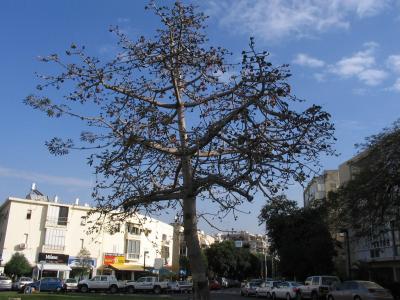 January 2006