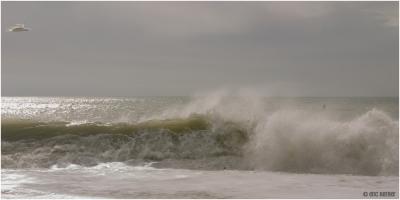 Foamy