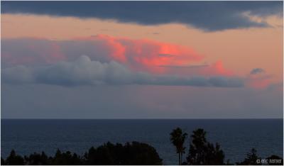 Pink Cloud
