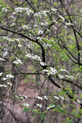 16IMG_9438SEre.jpg