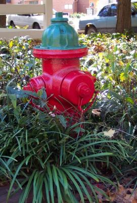 Red  Green FirePlug.JPG