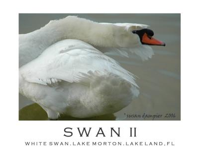 g3/25/645625/3/57021334.swanII2.jpg