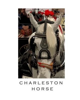 CHARLESTON HORSE