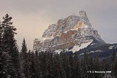 Alberta winter - 4