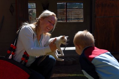 Farm 8 - kitten.JPG