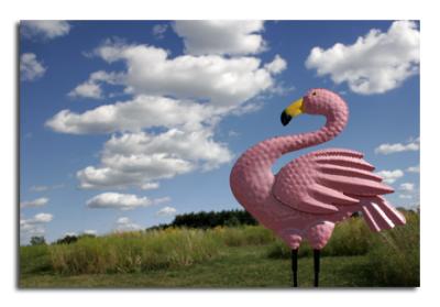 roadside_curiosities