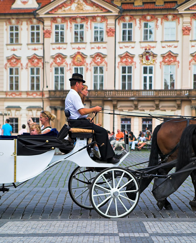 Sightseeing by horse and carriage