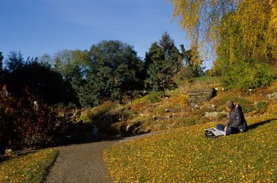 Botanisk hage, oktober 2009