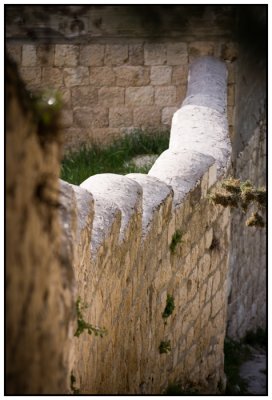 741 - On the Mount of Olives, Jerusalem