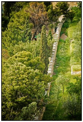 742 - On the Mount of Olives, Jerusalem