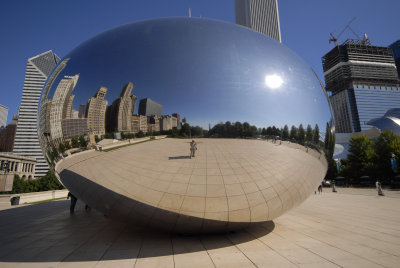 The Bean