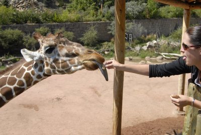 Cheyenne Mountain Zoo