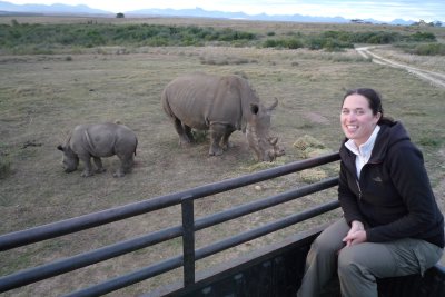 Rhino cow, calf & Liz