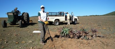 Liz and her garden project