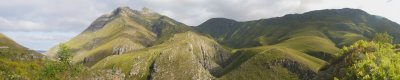 Outeniqua
