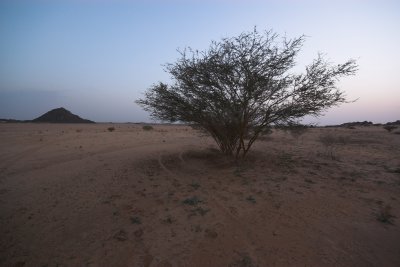 View from the camp