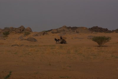 Desert transport