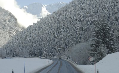 _DSC7950.jpg
