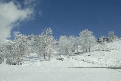 _DSC7956.jpg