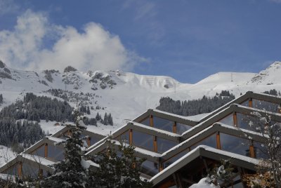 _DSC7984.jpg