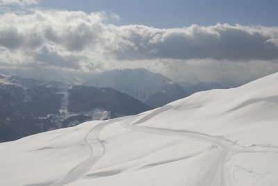 _DSC8030.jpg