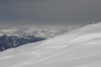 _DSC8061.jpg