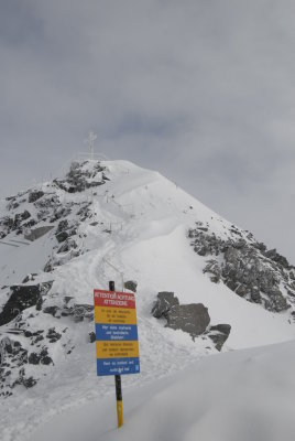 _DSC8105.JPG