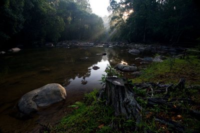 Endau Rompin