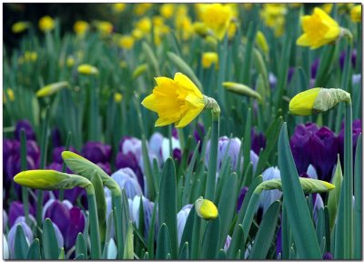 Spring is here!