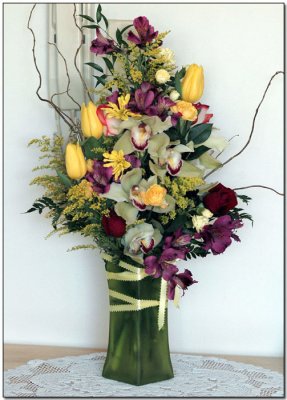 Orchids