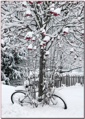 The Bike