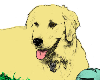 Stormy_cartoon1a1.jpg