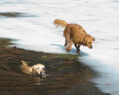 DSC_9069.jpg
