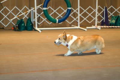 saw_mill_agility_demo