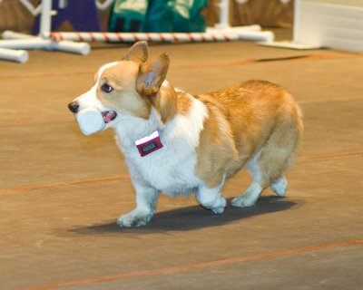 saw_mill_agility_demo