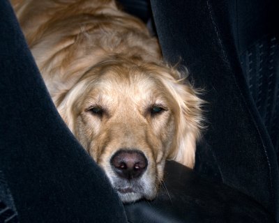 DSC_0044.jpg