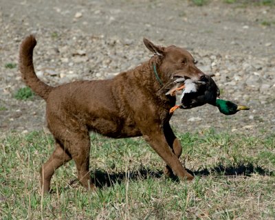DSC_0476.jpg