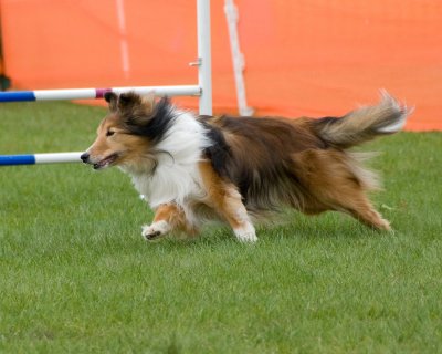 DSC_1406.jpg