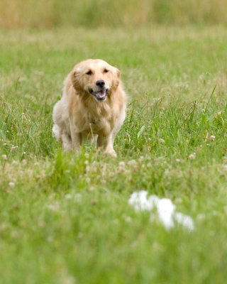 DSC_5826.jpg