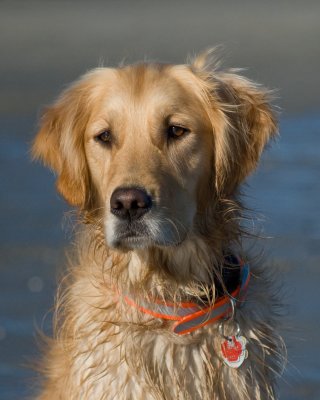 DSC_2798-Stormy.jpg