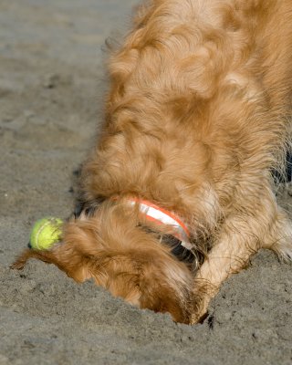 DSC_2869-Stormy.jpg