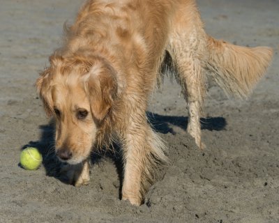 DSC_2878-Stormy.jpg