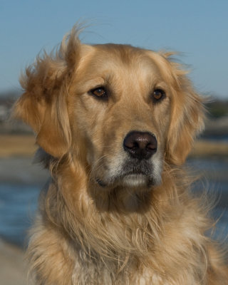 DSC_2910-Stormy.jpg